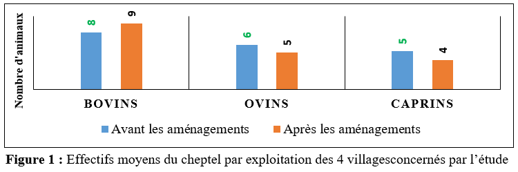 Effectifs moyens du cheptel par exploitation des 4 villages concernés par l’étude